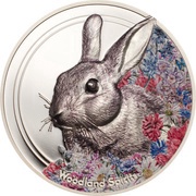 500 Tögrög Woodland Spirits Rabbit, Mongolia, 2019 reverse image
