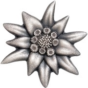 500 Tögrög Edelweiss - Mountain Star, Mongolia, 2019 reverse image
