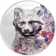 500 Tögrög Raccoon Dog, Mongolia, 2020 reverse image