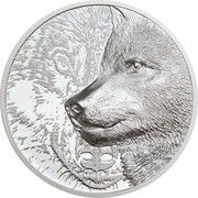500 Tögrög Mystic Wolf, Mongolia, 2021 reverse image