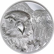 500 Tögrög Saker Falcon reverse image