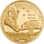1000 Tögrög Wild Boar, Mongolia, 2018 reverse image