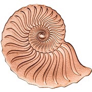 1000 Tögrög Golden Ammonite, Mongolia, 2019 reverse image