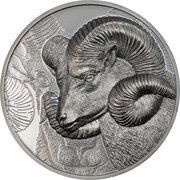 1000 Tögrög Magnificent Argali, Mongolia, 2022 reverse image
