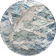 2000 Tögrög Plesiosauria, Mongolia, 2020 reverse image