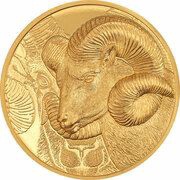 25 000 Tögrög Magnificent Argali, Mongolia, 2022 reverse image