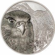 25 000 Tögrög Saker Falcon reverse image