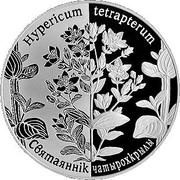 1 Rouble Square-stemmed St. John’s Wort, Belarus, 2014 reverse image