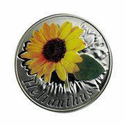 10 Roubles The Sunflower, Belarus, 2013 reverse image