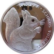 20 Roubles Squirrel, Belarus, 2009 reverse image