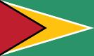 Guyana flag